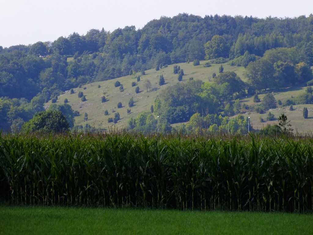 DSCF4833.jpg