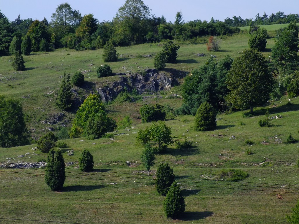 DSCF4836.jpg