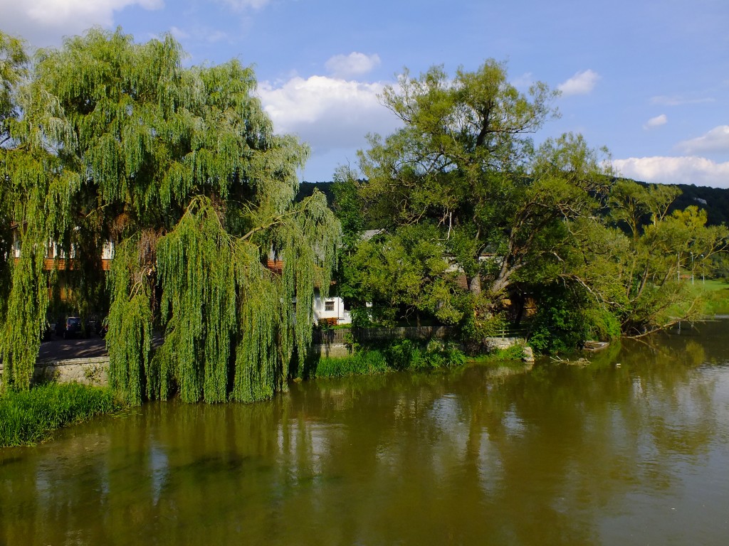 DSCF4839.jpg
