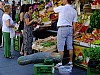 DSCF4300.jpg