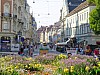 DSCF4319.jpg