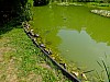 DSCF4389.jpg