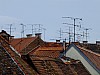 DSCF4419.jpg