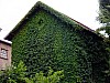 DSCF4431.jpg