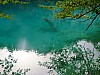 DSCF4495.jpg