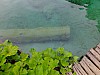 DSCF4501.jpg
