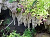 DSCF4511.jpg