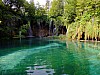 DSCF4513.jpg