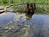 DSCF4517.jpg