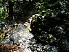 DSCF4525.jpg