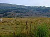 DSCF4551.jpg