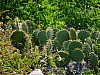 DSCF4569.jpg