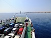 DSCF4571.jpg