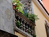 DSCF4580.jpg