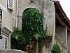 DSCF4583.jpg