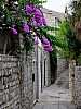 DSCF4587.jpg