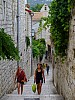 DSCF4603.jpg