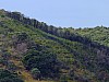DSCF4618.jpg