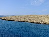 DSCF4650.jpg