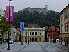 DSCF4681.jpg