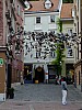 DSCF4686.jpg