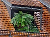 DSCF4703.jpg