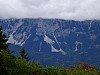 DSCF4761.jpg