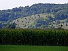 DSCF4833.jpg