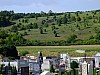 DSCF4835.jpg