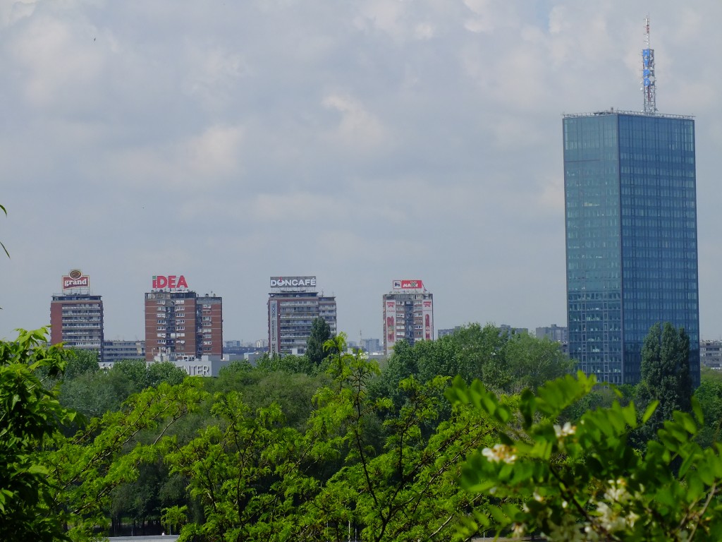 DSCF5768.jpg