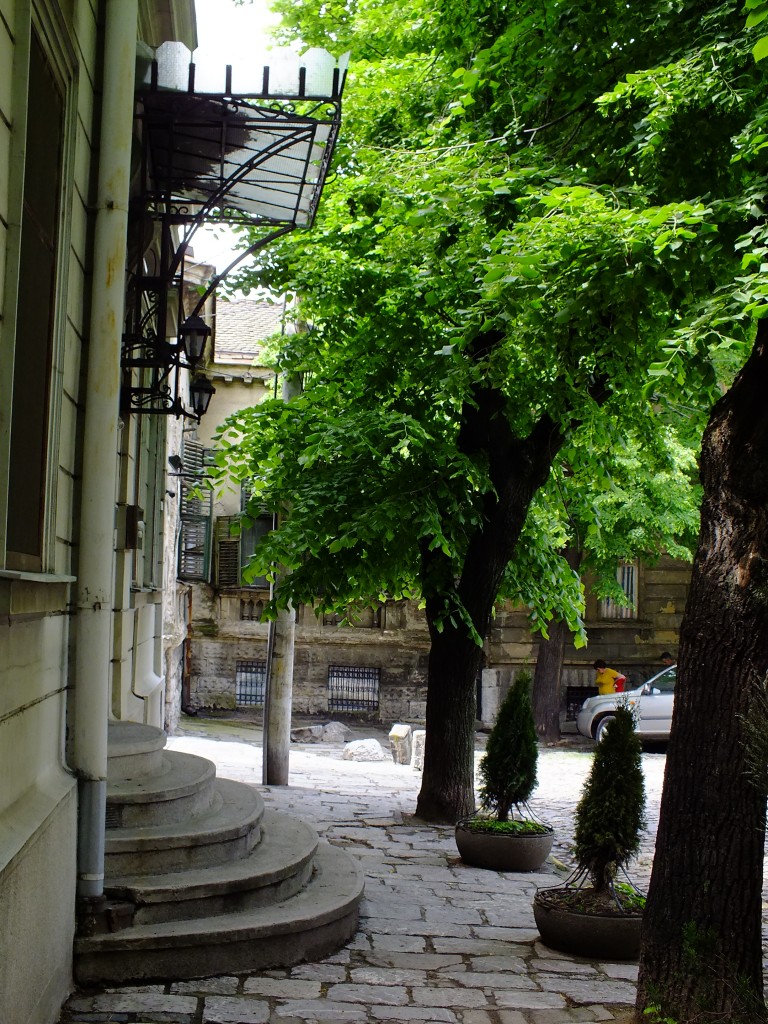 DSCF5773.jpg