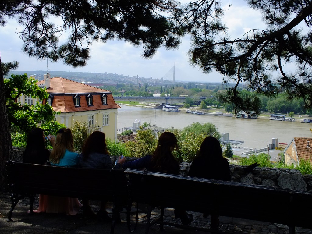 DSCF5786.jpg
