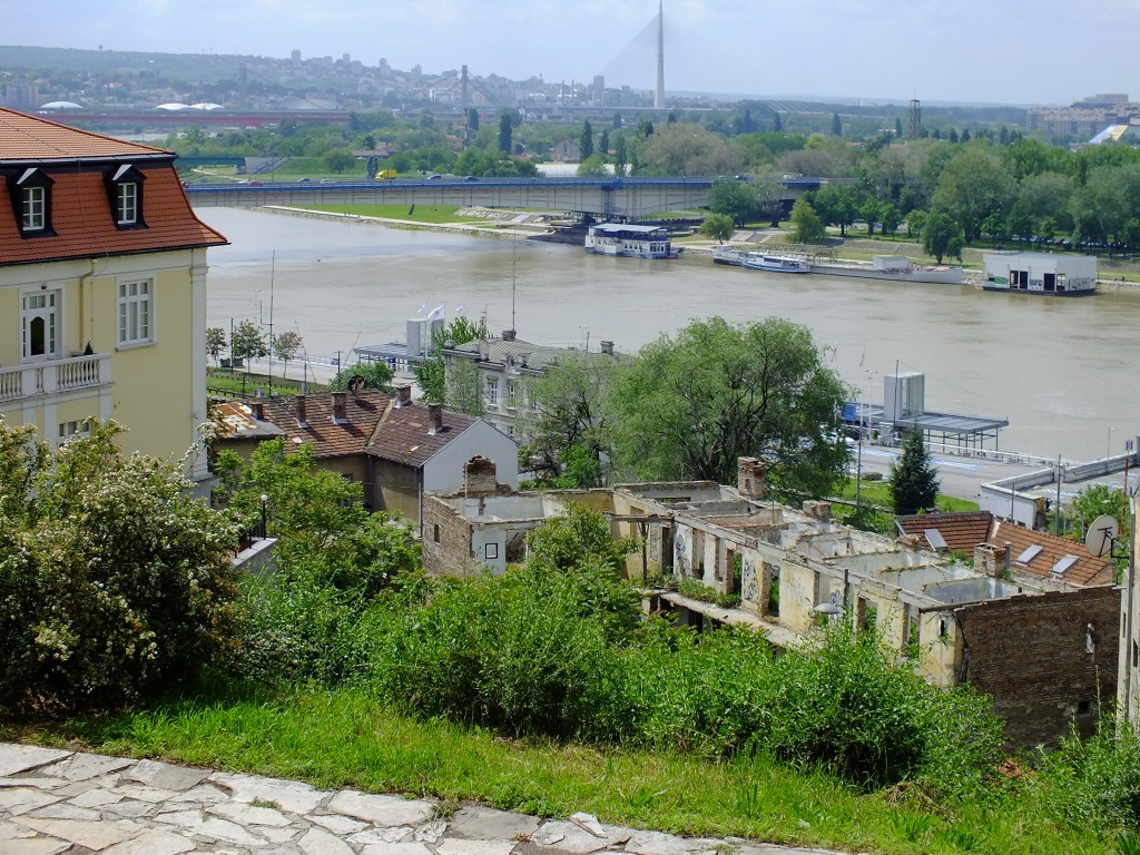 DSCF5787.jpg