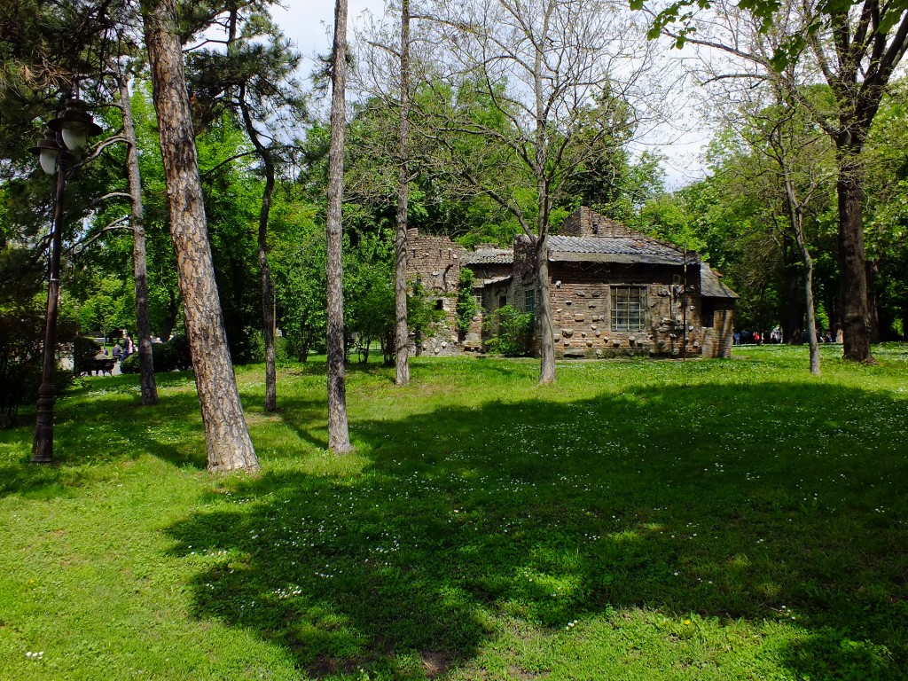 DSCF5789.jpg
