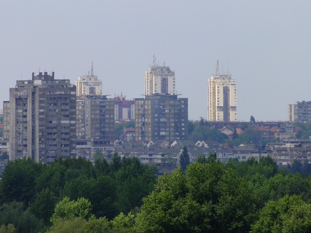 DSCF5805.jpg