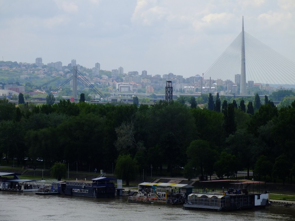 DSCF5807.jpg