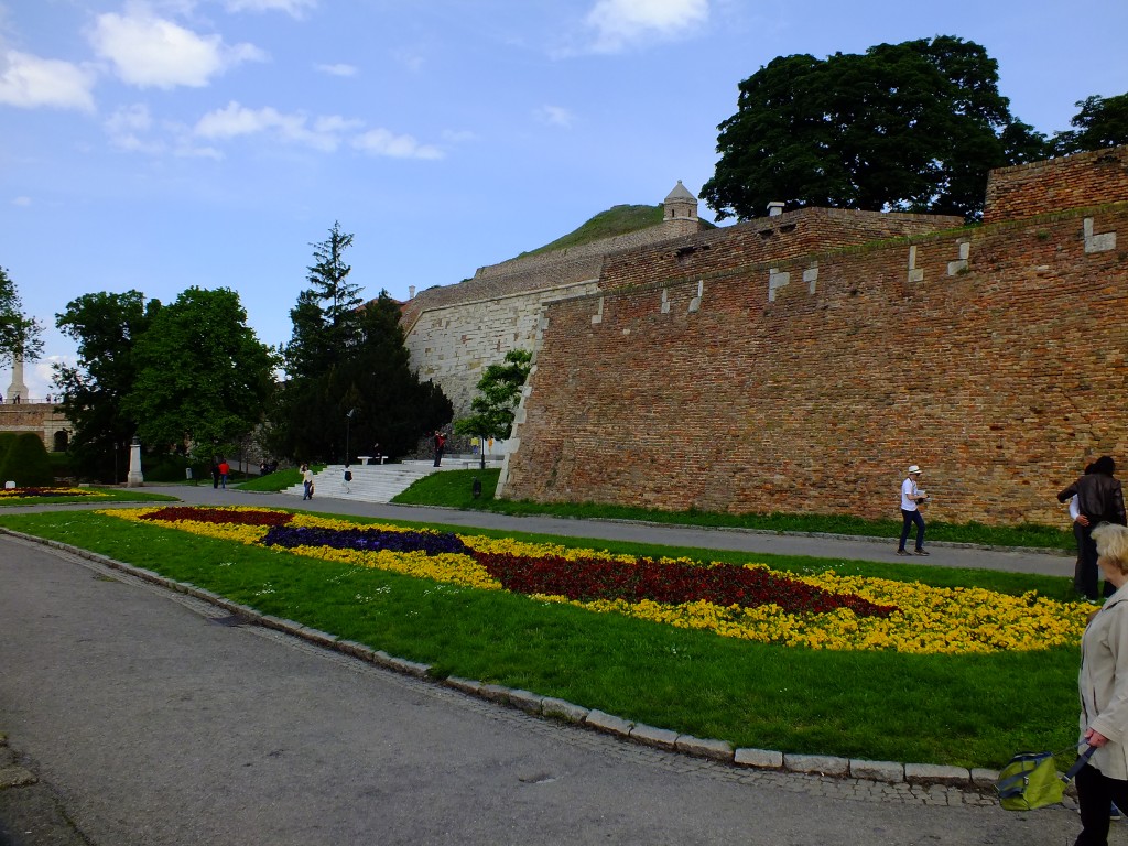 DSCF5808.jpg
