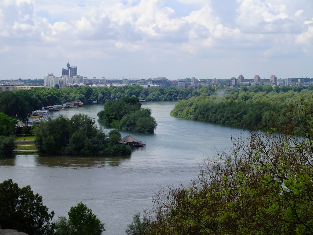 DSCF5821.jpg