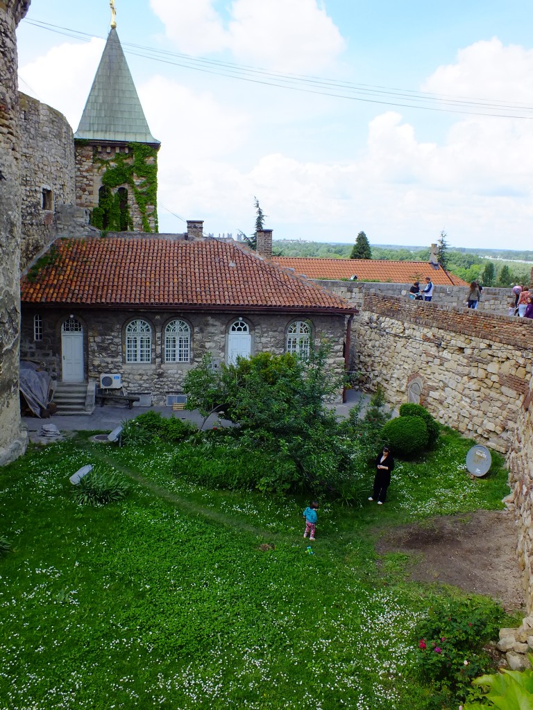 DSCF5838.jpg