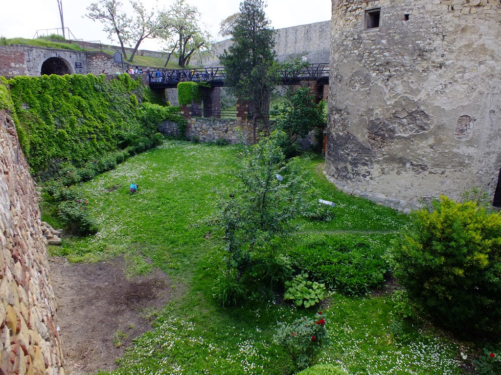 DSCF5839.jpg