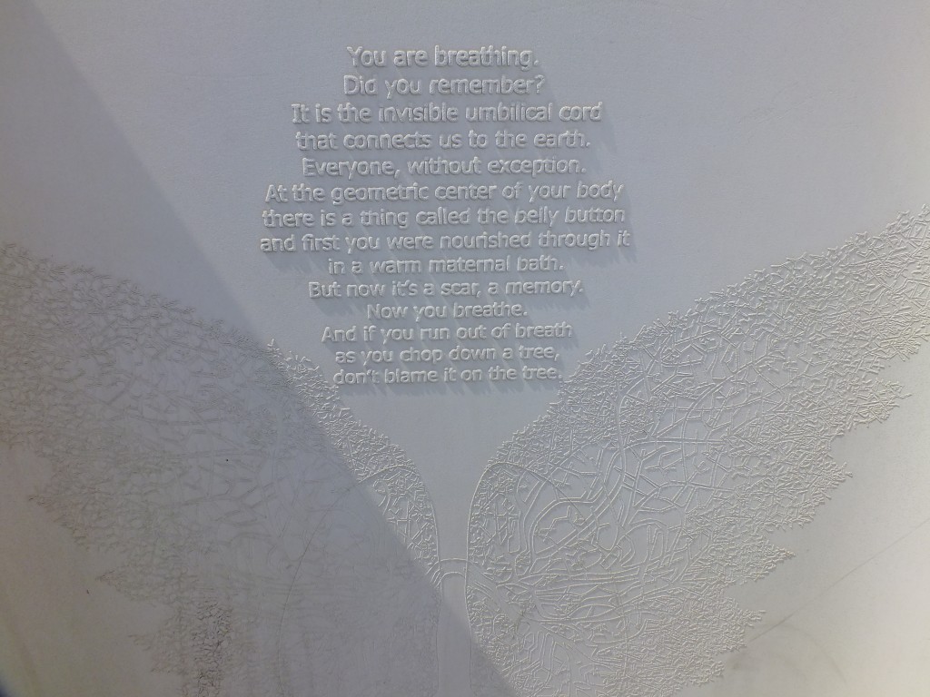 DSCF5950.jpg