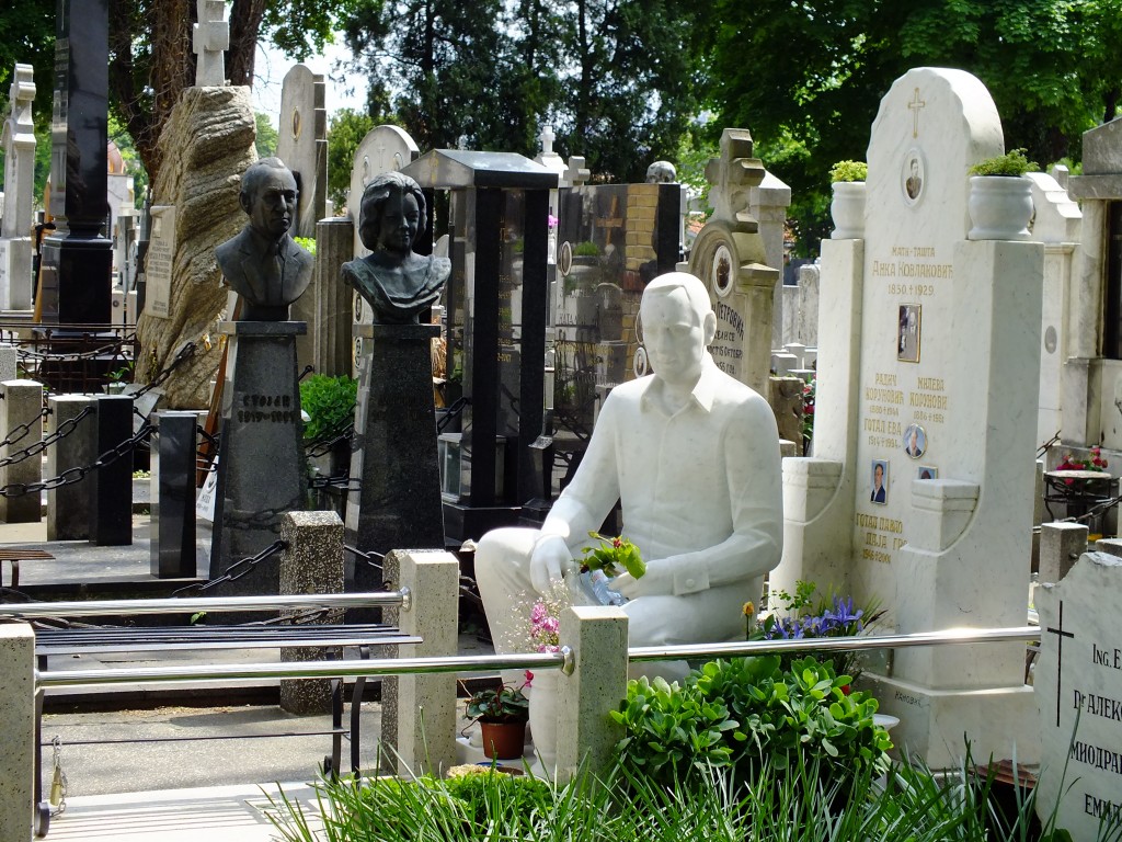 DSCF5972.jpg