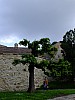 DSCF5812a.jpg