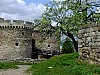 DSCF5844.jpg