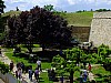 DSCF5853.jpg