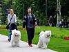 DSCF5936.jpg