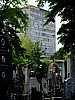 DSCF5967.jpg
