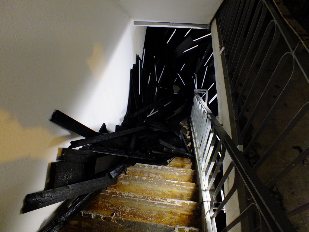 DSCF5532.jpg