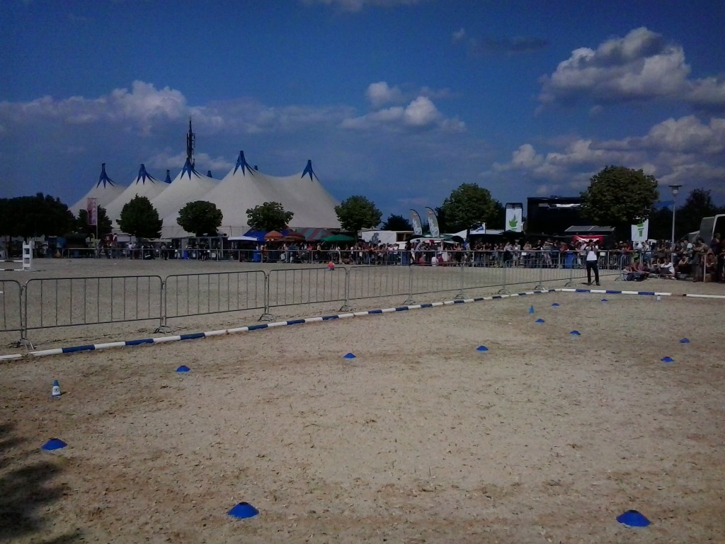 1037.jpg