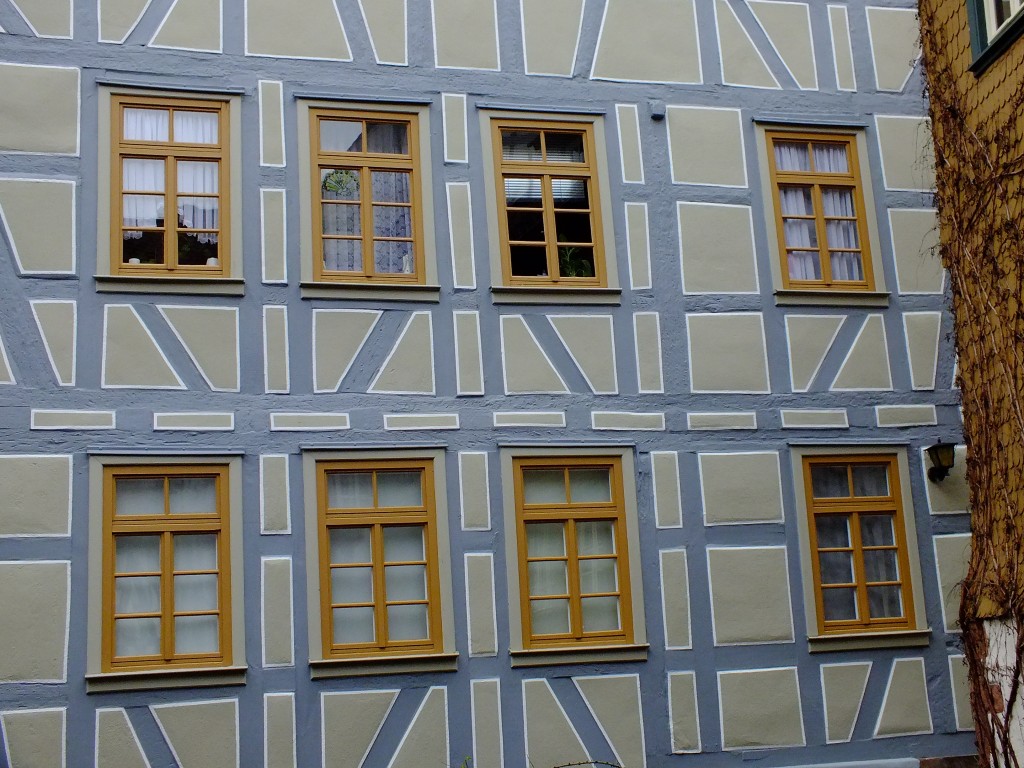 DSCF5401.jpg